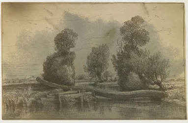 Cliché Verre - Paesaggio